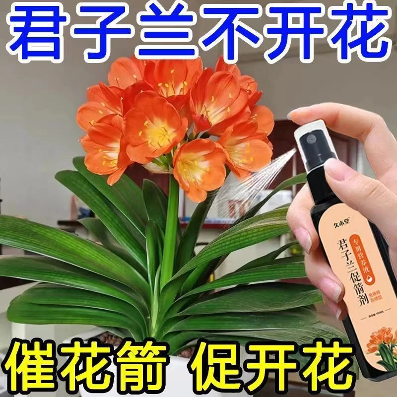 君子兰蝴蝶兰营养液催花专治不开花黄叶烂根适用防夹箭快速生根液