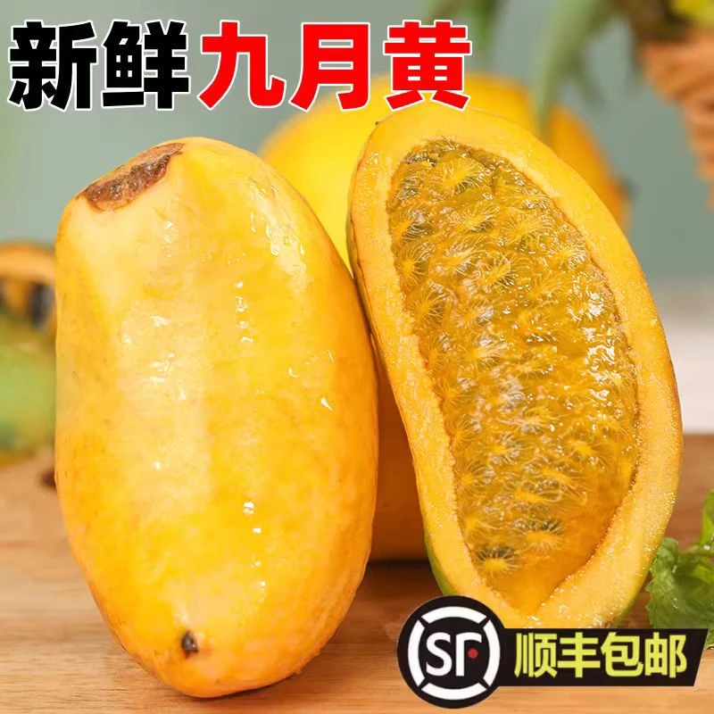 1【顺丰包邮】九月黄九月瓜牛卵坨拿藤果麻藤包甜瓜八月瓜新鲜水果