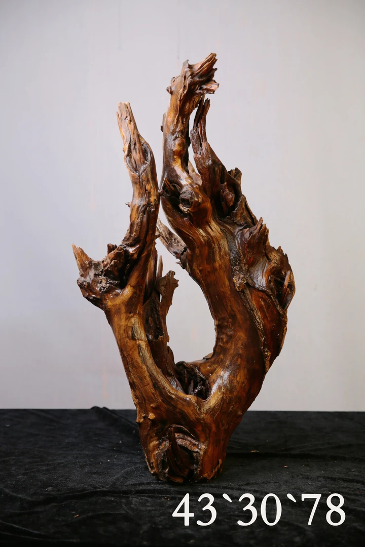 古木派精品沉紫柚木自然沉木雨淋缸 南美缸 草缸等鱼缸造景沉木