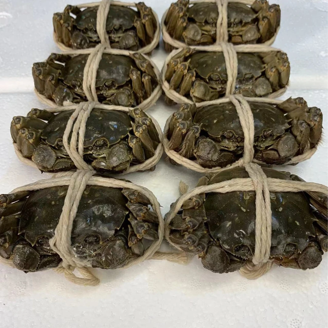 （鲜活）改价链接 大闸蟹 现场称