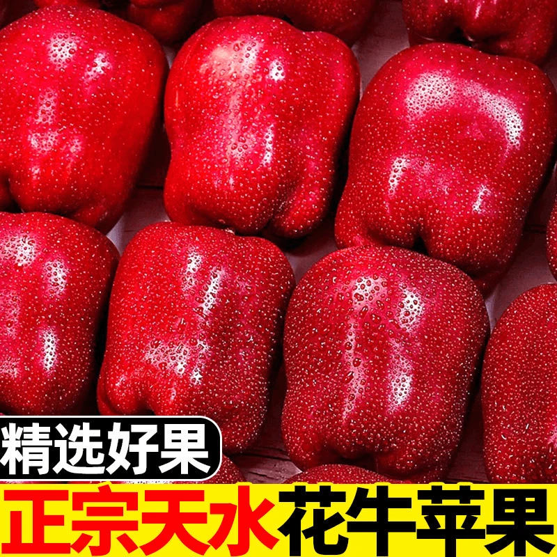 【天水花牛】甘肃花牛苹果单果65mm+带箱3斤（坏果包赔）