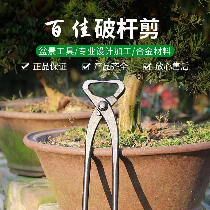 破杆剪270开枝钳破杆钳专业盆景制作造型工具修枝剪破杆拿弯钳子