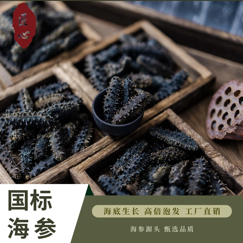 【国标特级】大连淡干海参海底生长50-100头/斤营养丰富肉厚筋粗