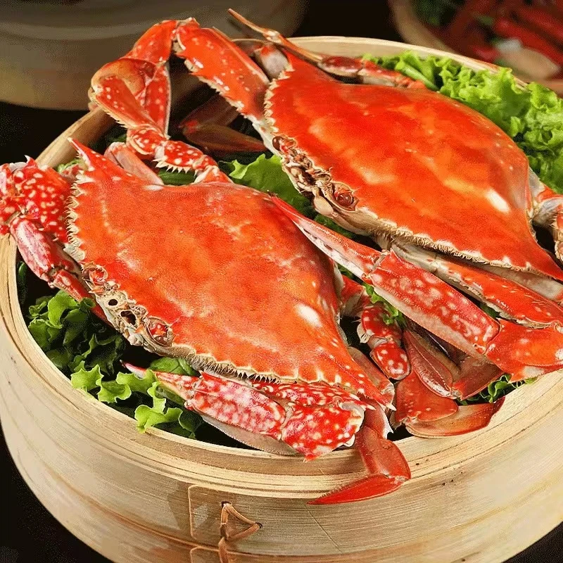 【公蟹】佑渔货舟山野生鲜活速冻梭子蟹3-6两/只包鲜包肥共3斤半