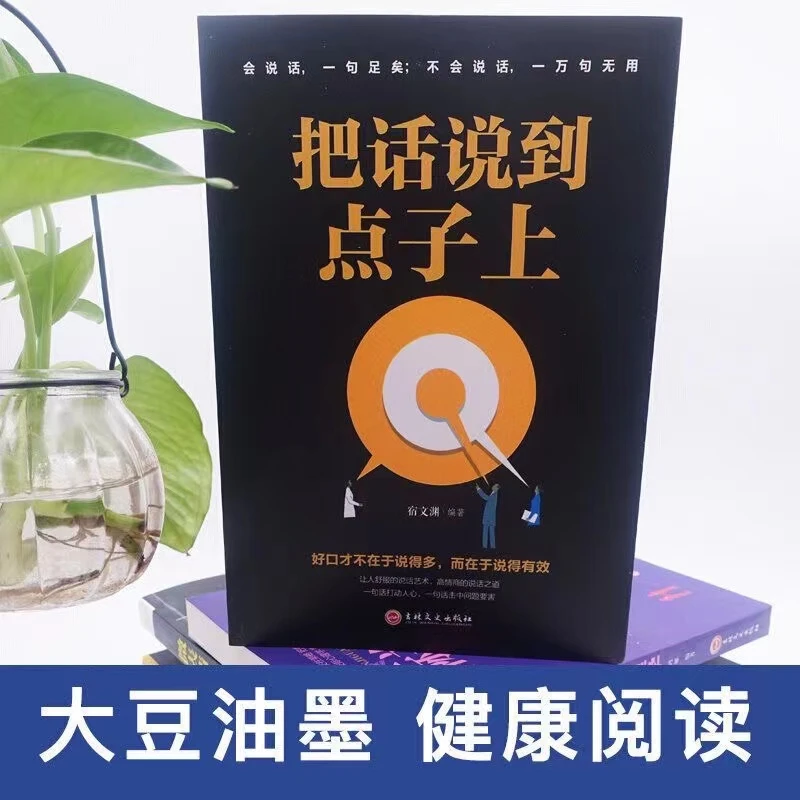 把话说到点子上 沟通心理学口才训练人际交往搭讪说话技