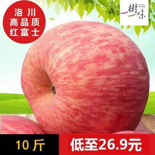 【精选】陕西正宗洛川红富士脆甜多汁新鲜水果精品装1-9斤装整箱