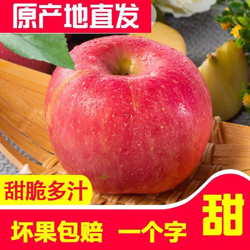 【现货直发】正宗陕西延安洛川红富士苹果整箱1/10斤新鲜水果脆甜