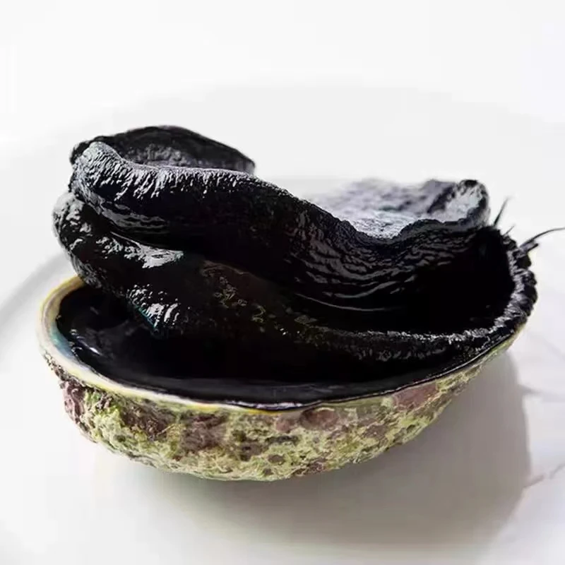 鲜活黑金鲍 可刺身 深海鲍鱼