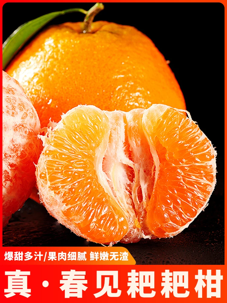 春见耙耙柑正宗四川粑粑柑新鲜水果当季2-8斤不知火丑橘大果橘子
