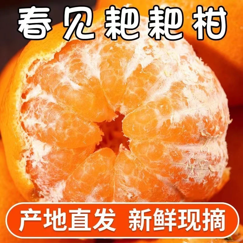 品质成熟新鲜水果粑粑柑橘四川正宗耙耙柑新鲜应季水果丑橘耙耙柑