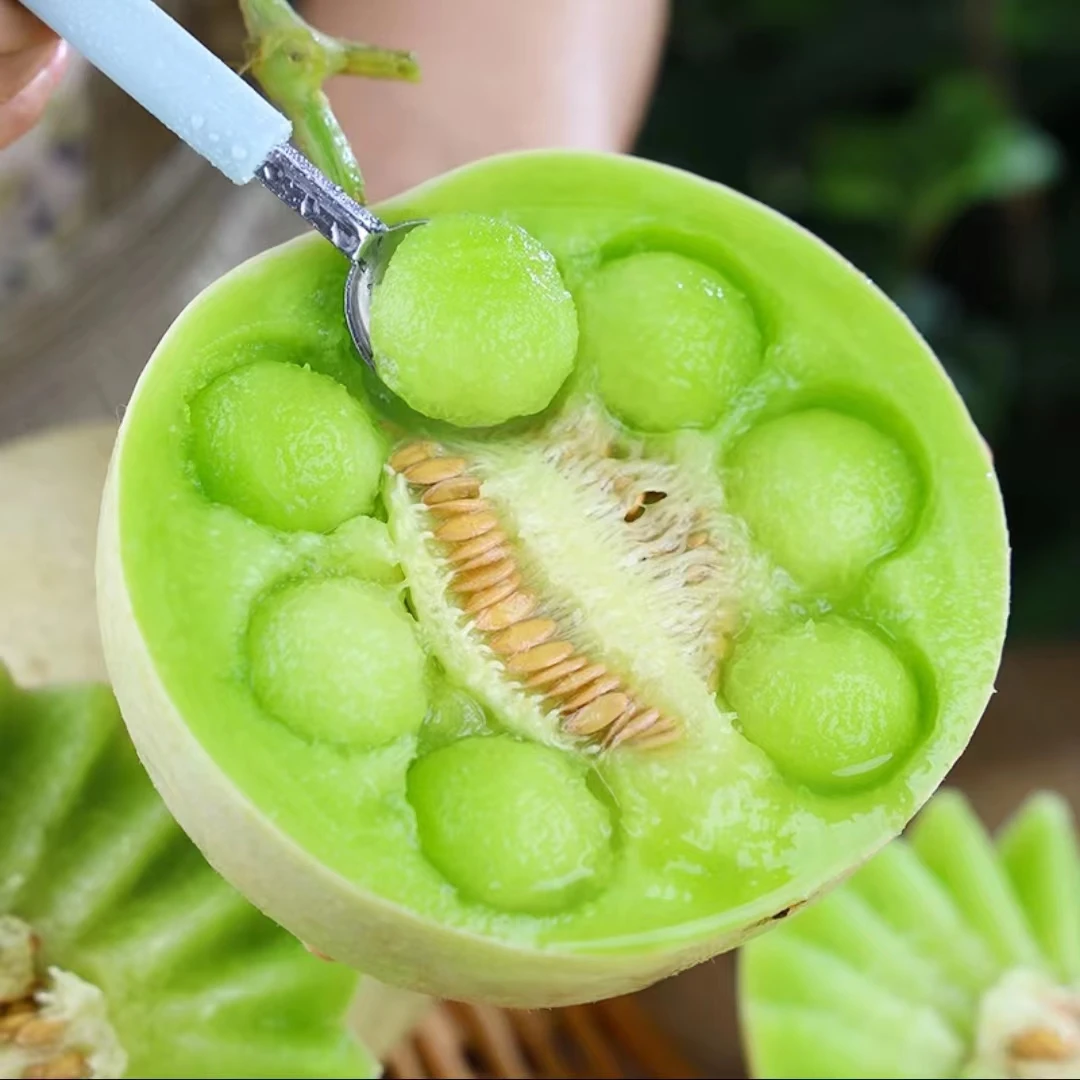 【坏果包赔】山东玉菇甜瓜4.5斤装香甜可口新鲜水果【ZY】