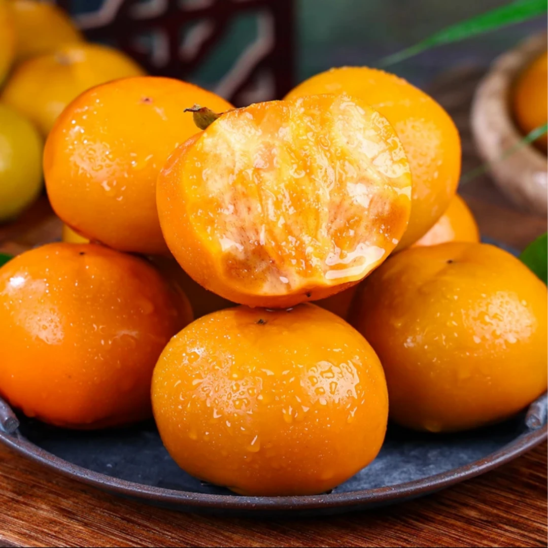 【坏果包赔】正宗阳丰巧克力脆柿4.5斤装当季水果脆甜多仓发货【ZY】