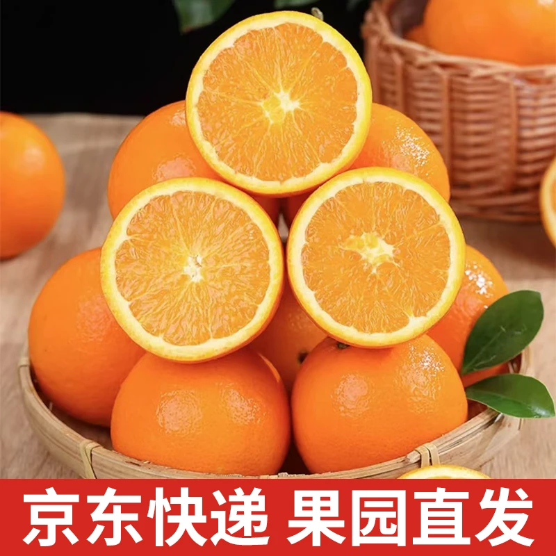 【坏果包赔】正宗江西赣南脐橙4.5斤橙子产地直发送开果器【ZY】