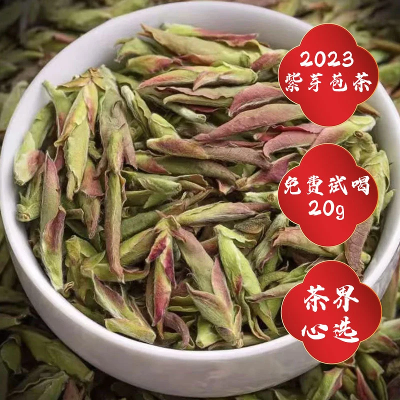 2023云南野生紫芽苞茶紫芽孢普洱茶生茶花果香春茶叶散茶生普新茶