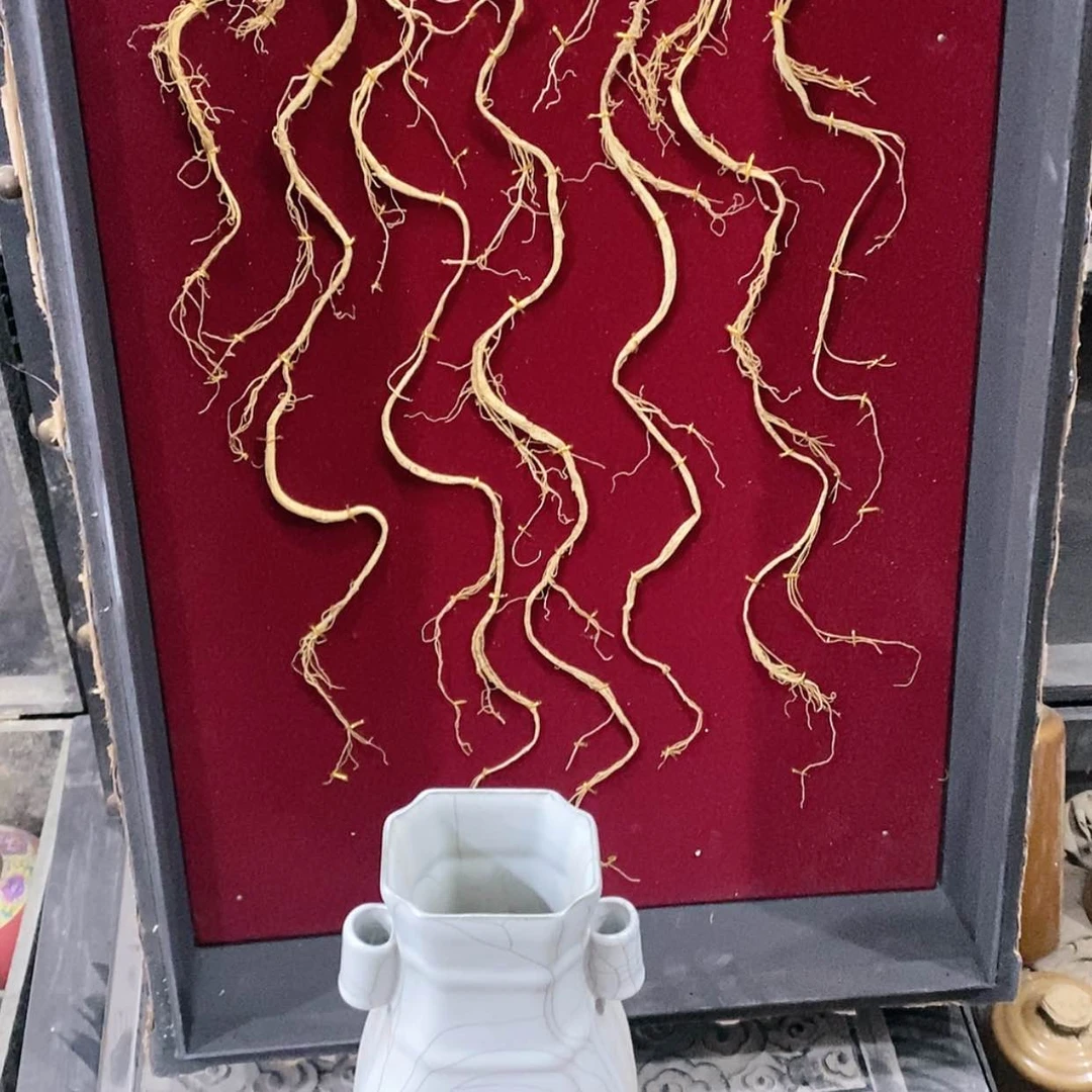 【闪购商品】密胺摆件