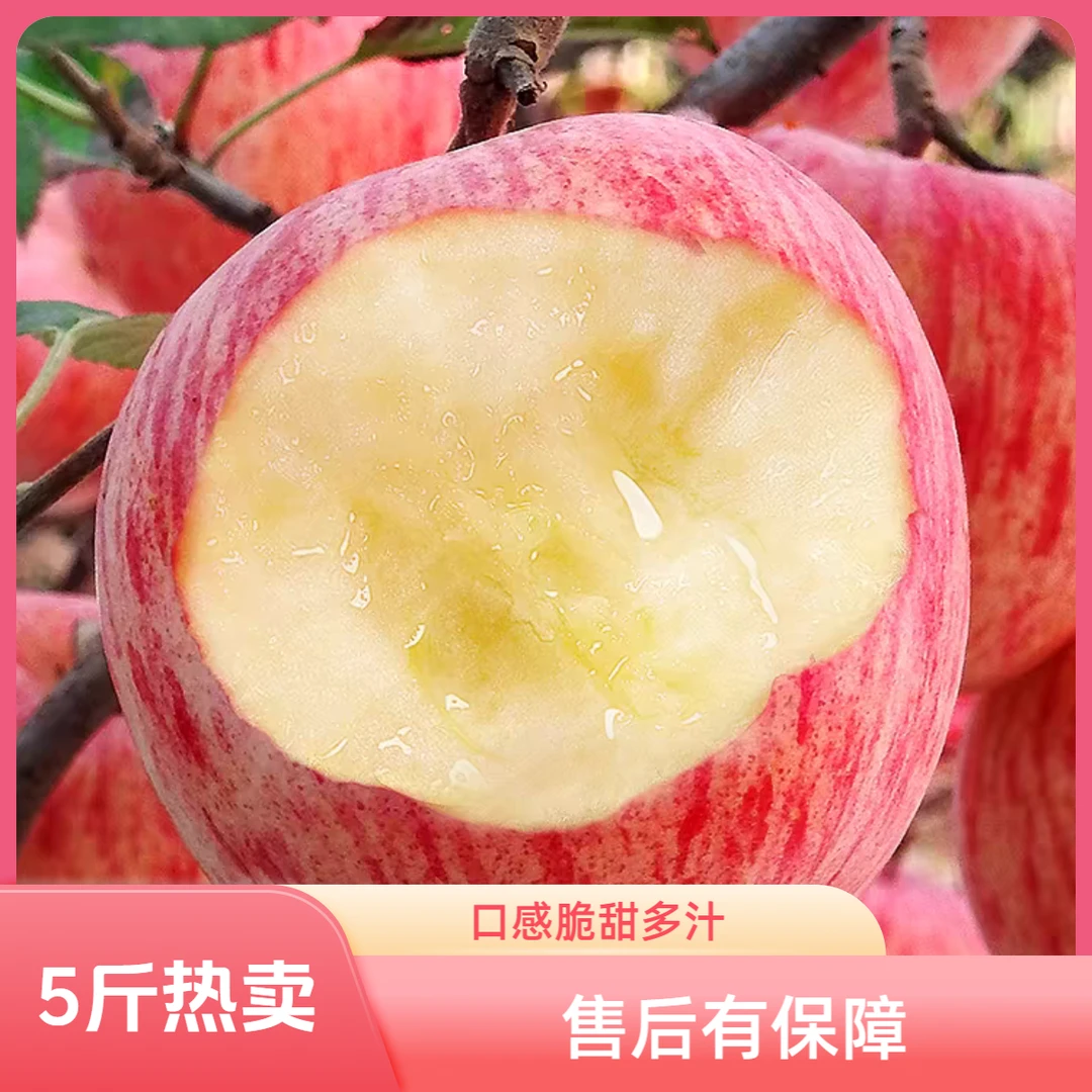 烟台苹果拉丝条纹富士红富士苹果丑苹果冰糖心新鲜营养甜脆脆甜