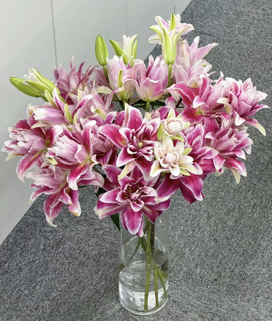 （迪奥）重瓣香水百合花