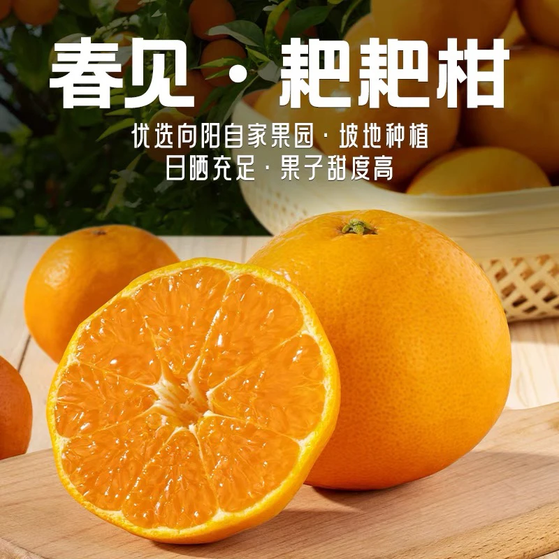 【新疆包邮】四川春见耙耙柑橘子丑橘应季新鲜水果柑桔毛重2.8公斤