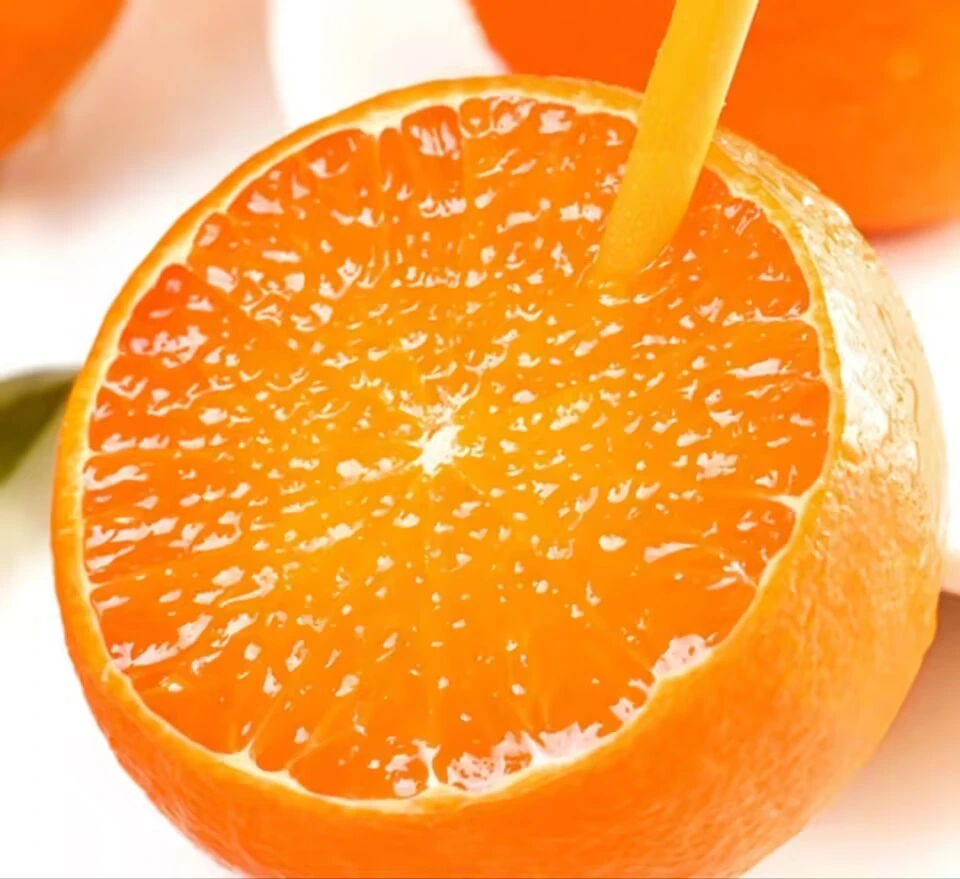 精品店 应季鲜果 爱媛果冻橙【爱了鲜果】皮薄多汁坏果包赔 8/9斤