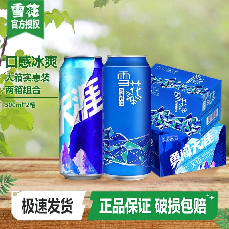 雪花（SNOW）啤酒勇闯天涯500*12+勇闯概念500*12 组合装