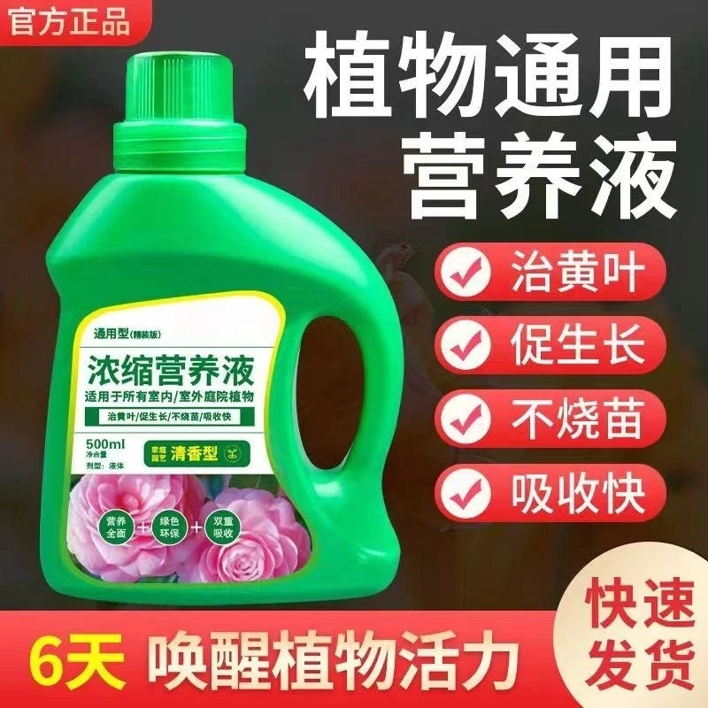 万能植物营养液通用型龙柳巴西木发财树养花草室内适用家用绿萝