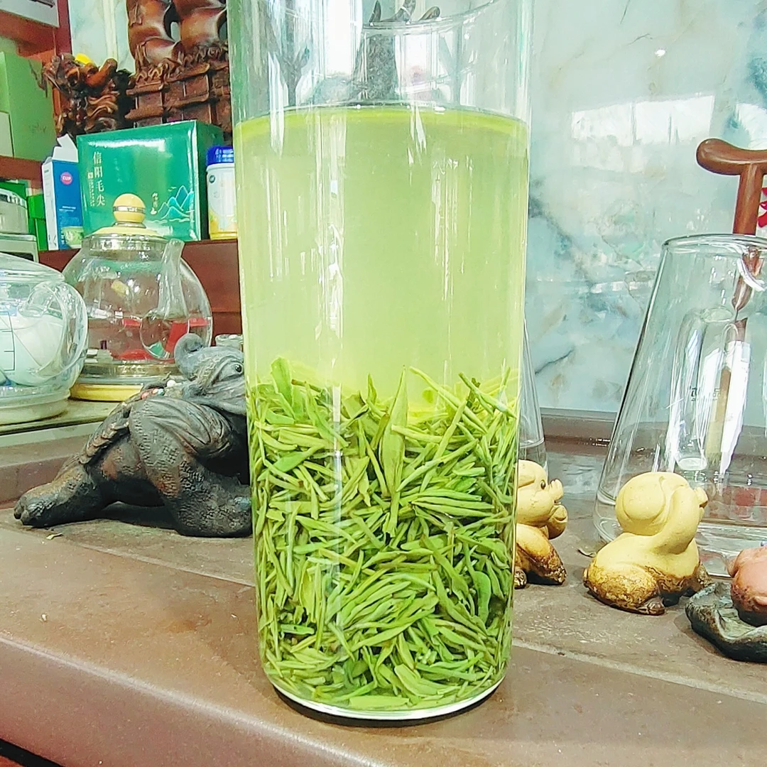 2023年新茶信阳毛尖谷雨中芽 礼品好茶包邮A2毛尖茶春茶新鲜茶叶