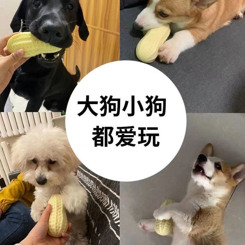 狗狗玩具花生狗玩具耐咬磨牙发声大中型犬解闷神器咬不坏柯基金毛