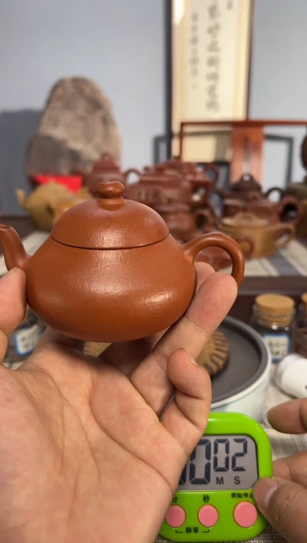 【闪购商品】紫砂茶壶1