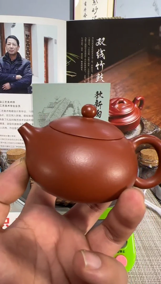 【闪购商品】紫砂茶壶1