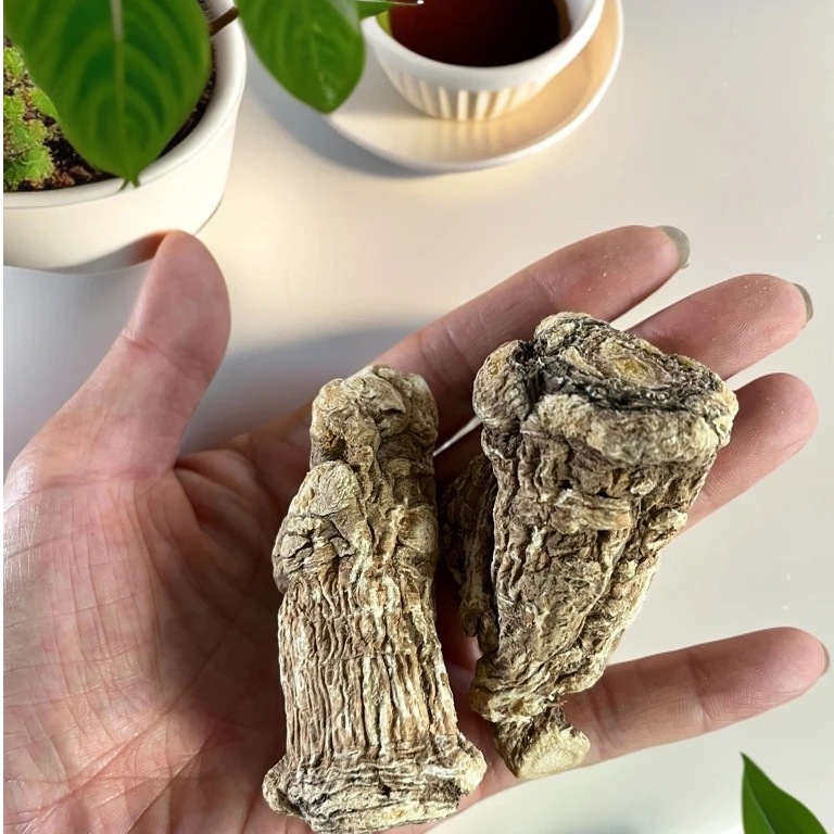 当归 头 片 可煲汤 泡水