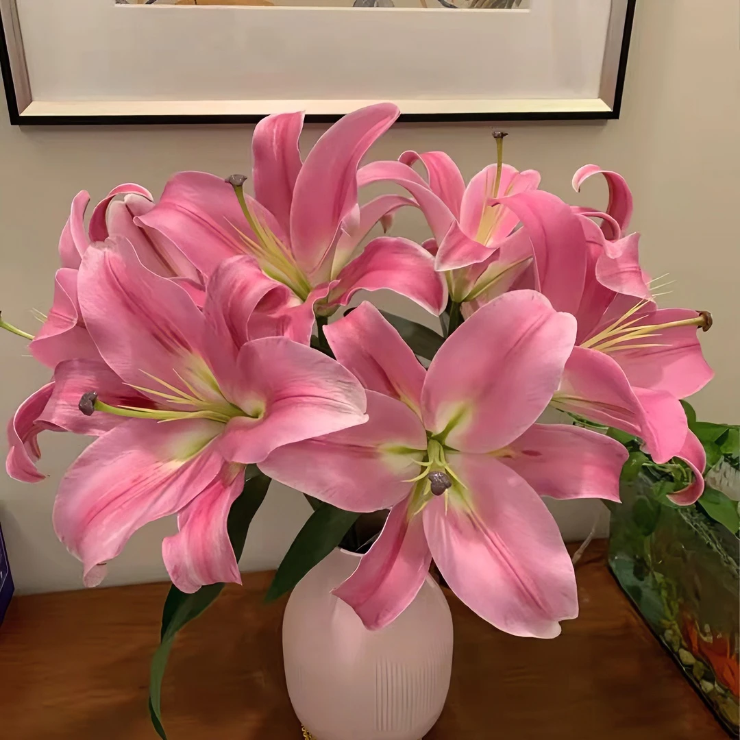 【基地直发】罗宾香水百合   基地直发