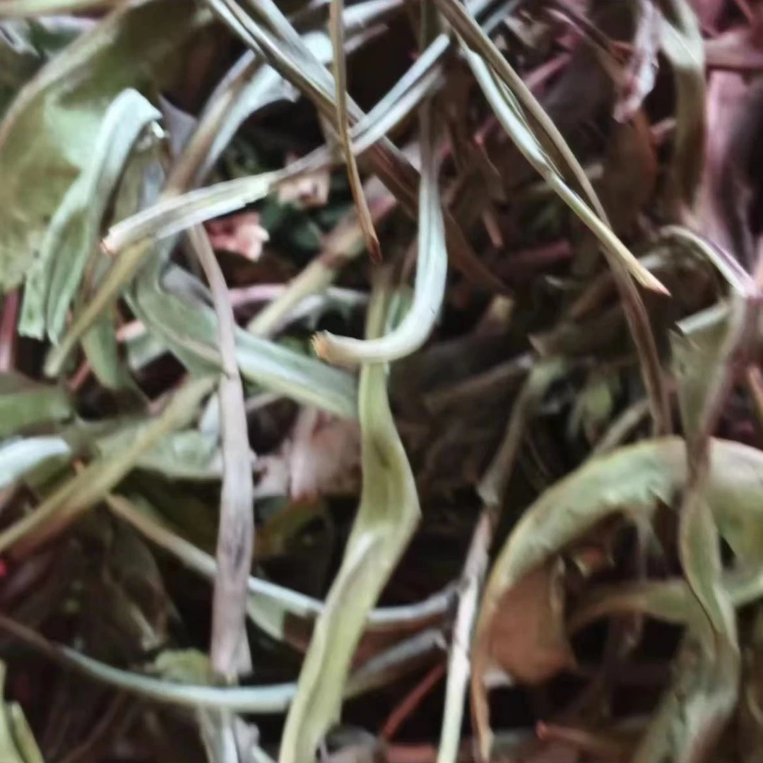 【化石草】净重250g