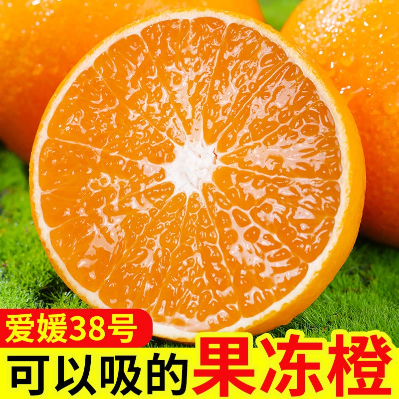 【坏果包赔】四川眉山爱媛38号果冻橙 新鲜现摘橙子水果皮薄多汁