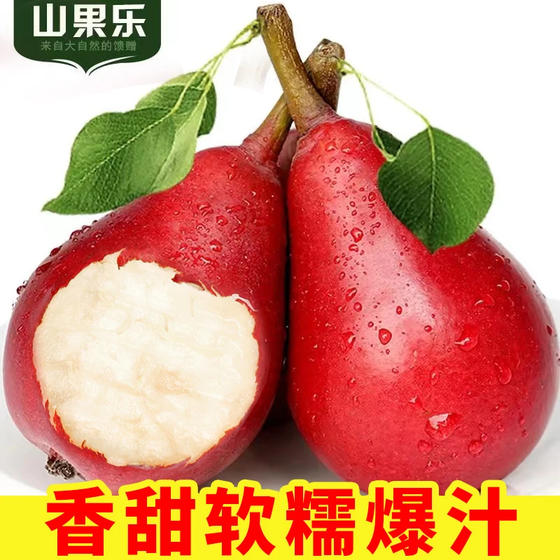 国产红啤梨4.5/8斤新鲜现摘当季梨子水果（放软吃细嫩甜蜜多汁）
