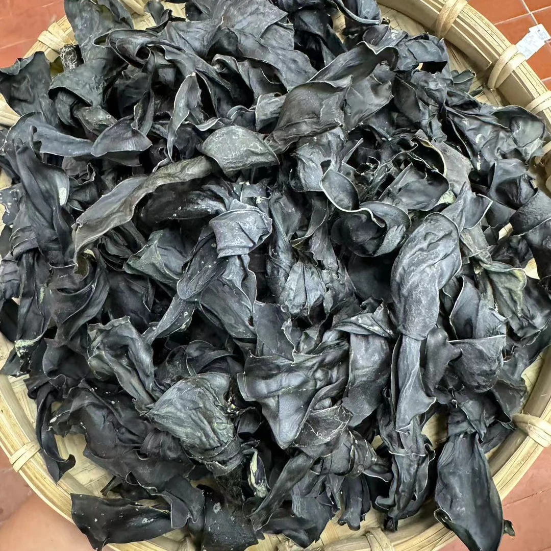 海带结台山鲜嫩厚实无沙无盐淡干