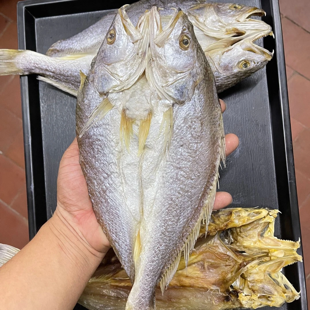 台山特产有头开片实肉三牙鱼干三齿鱼生晒淡盐海产干货