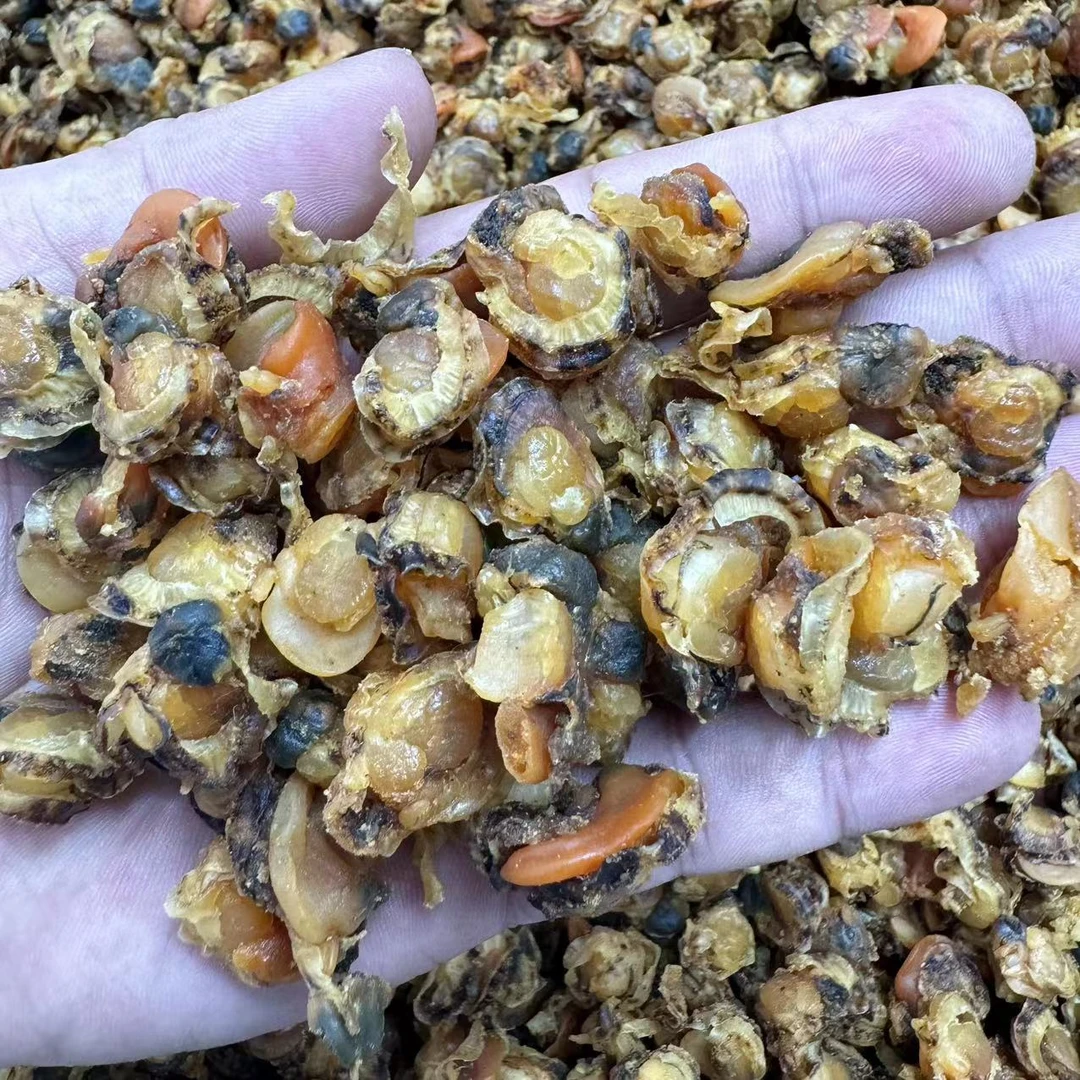 全贝干扇贝干瑶柱淡干生晒煲汤煲粥炒菜