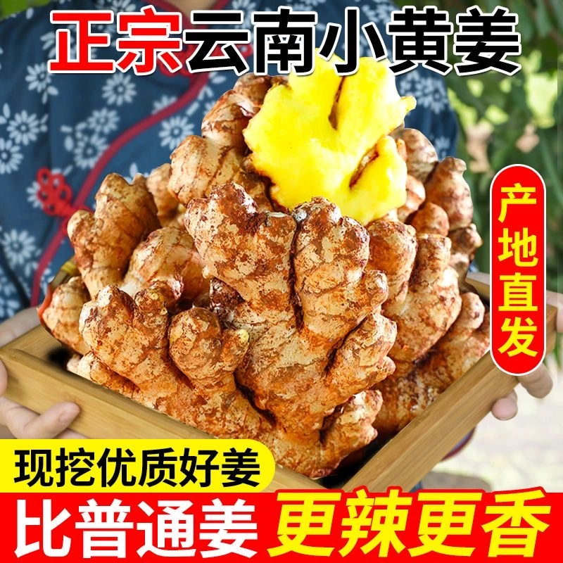 【酒店专供】云南小黄姜嫩姜鲜姜生姜新鲜黄姜0.5-9斤现挖姜新鲜