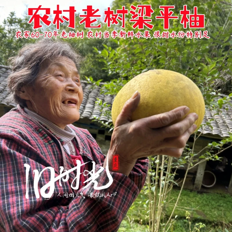 梁平柚子老树特大果重庆梁平的源产地农家当季新鲜水果现摘发货