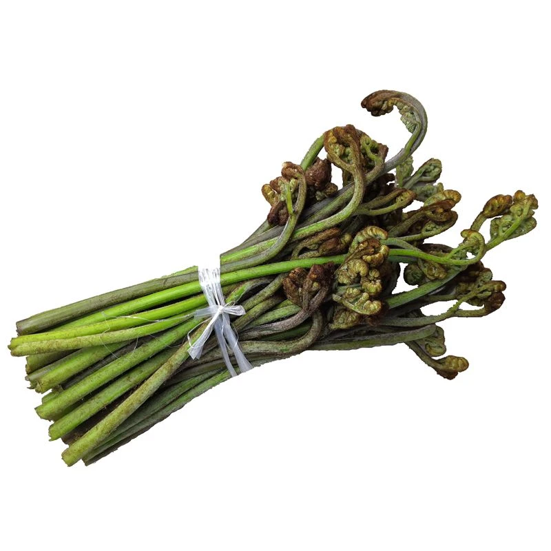野生蕨菜新鲜现摘整箱批发5斤买菜山野菜下饭菜苔猫抓节芥菜菊台
