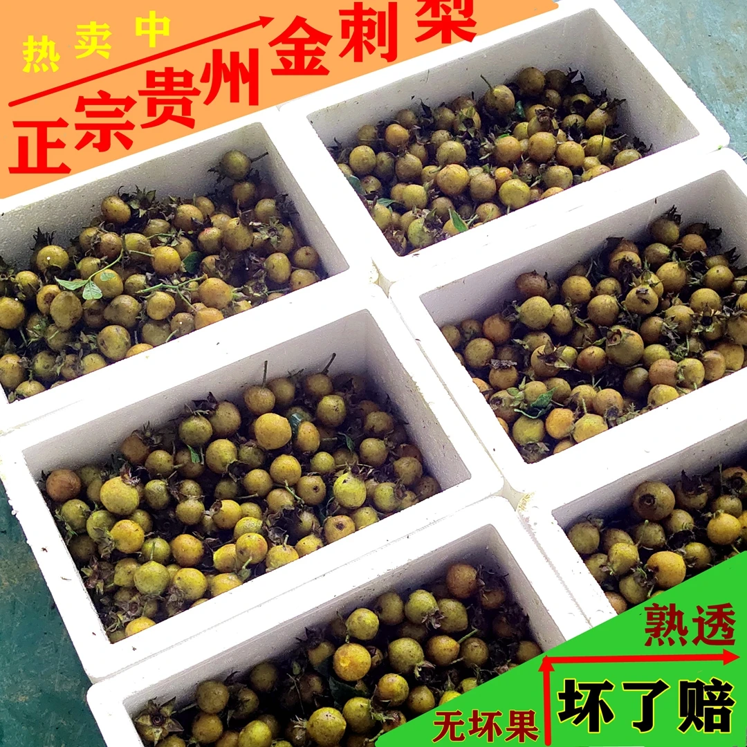 安顺金刺梨果 野生鲜果维C无籽可榨汁刺梨原汁生吃泡水 贵州特产