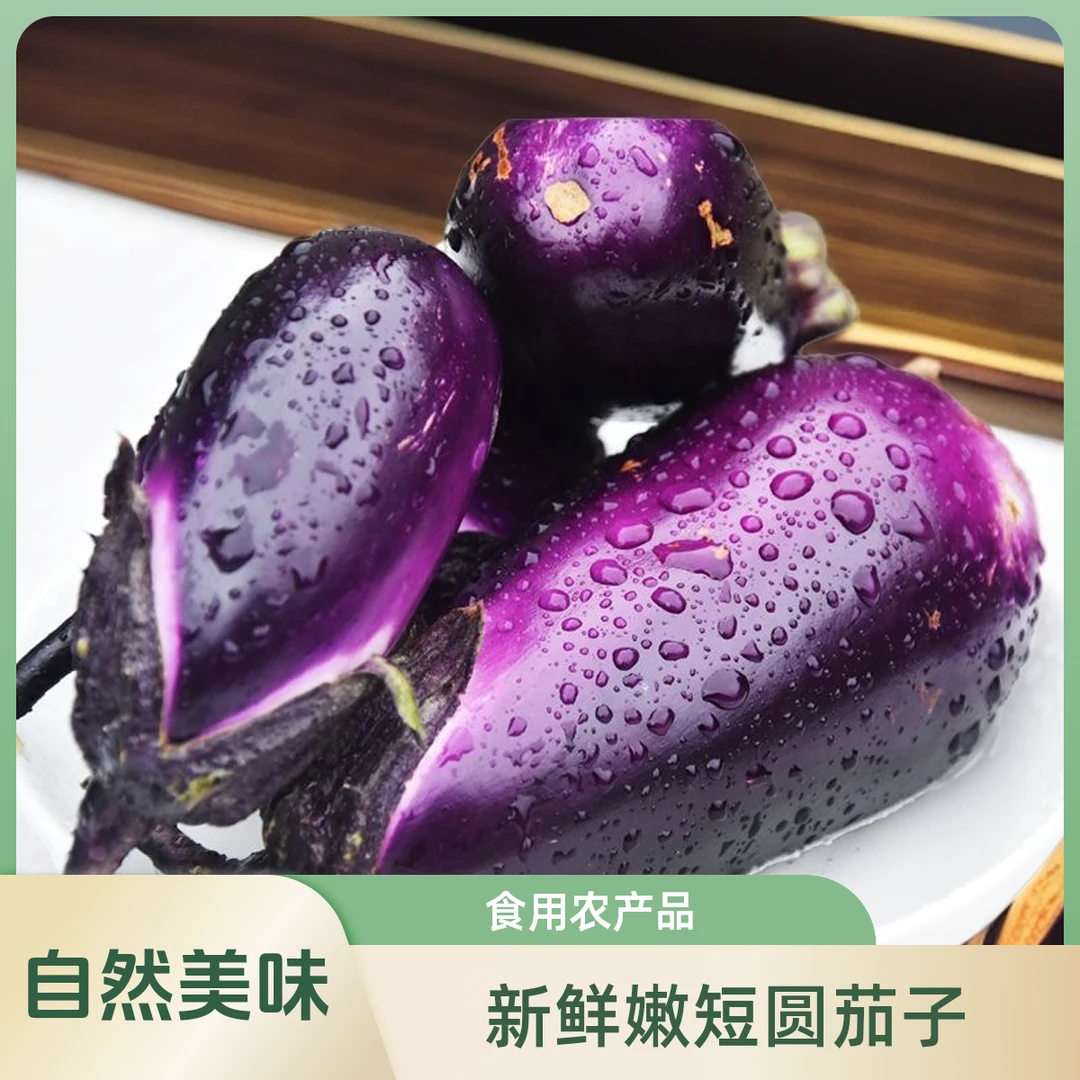 正宗贵州新鲜茄子现摘现发嫩短圆茄子新鲜紫茄子紫光茄子农家自种