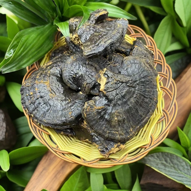 黑金灵芝中缅山货土特产山货灵芝大朵精选