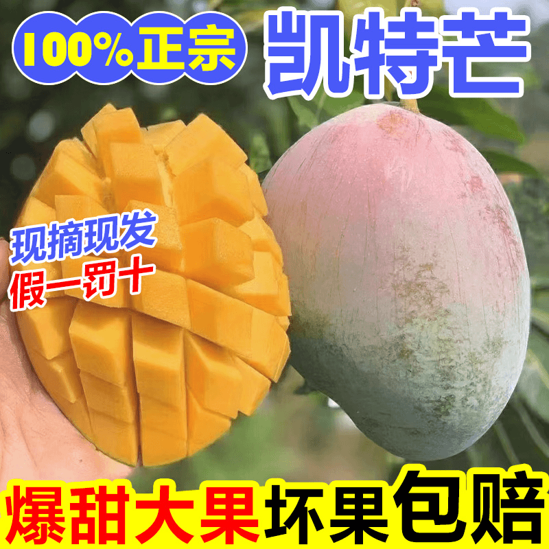 四川攀枝花芒果水果产地直发攀枝花凯特芒果非金煌芒大青芒新鲜