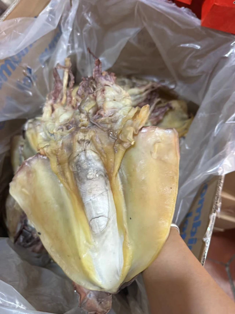 本地福建石狮墨鱼经济实惠海鲜干货目鱼干正宗墨鱼