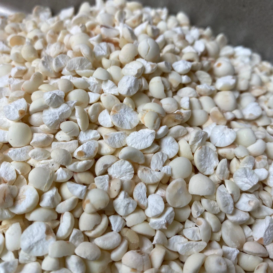 【苏欠碎片3斤起拍】新鲜苏芡 (直播为准  图片仅供参考)鸡头米