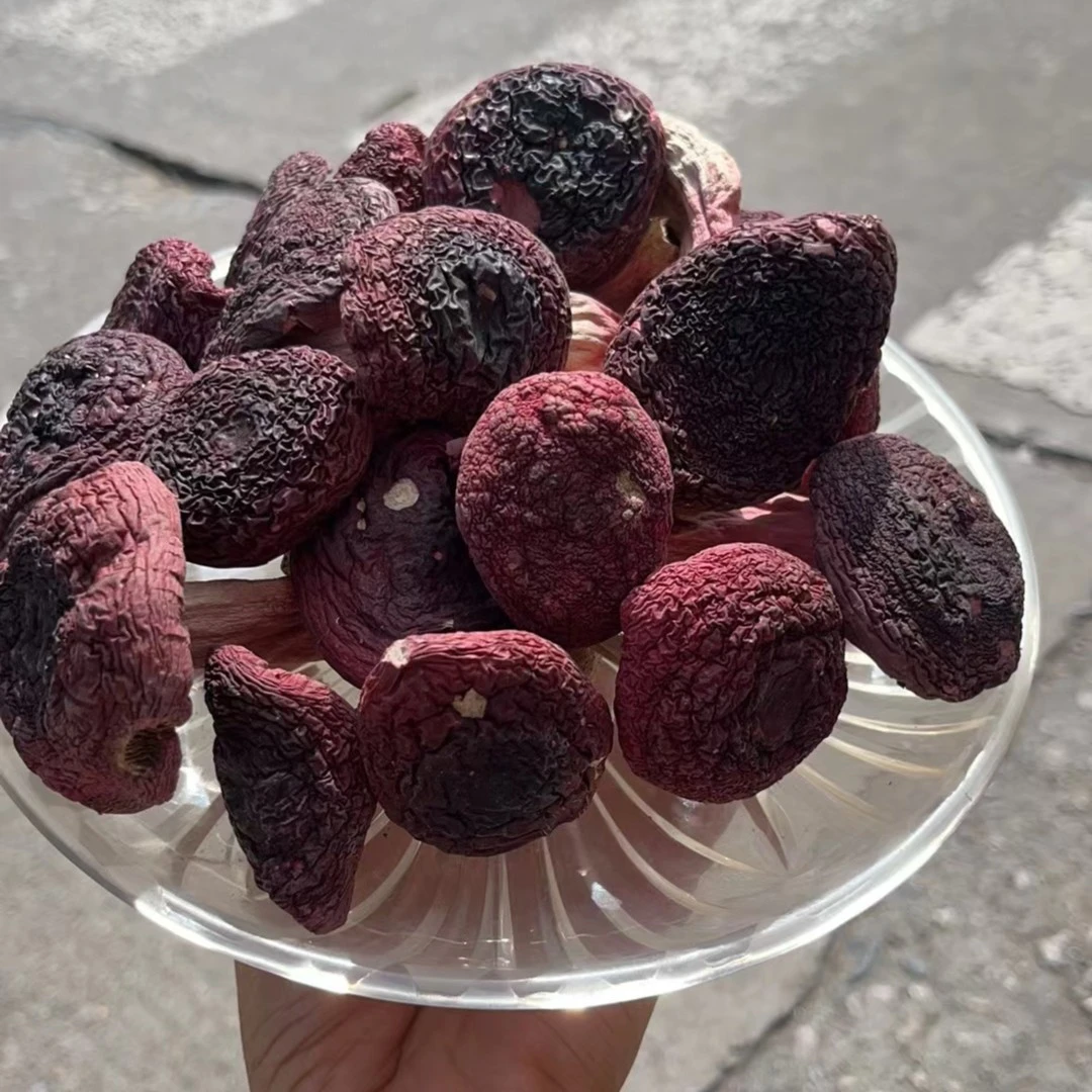 【素素推荐】精品月子菇尝鲜价50g