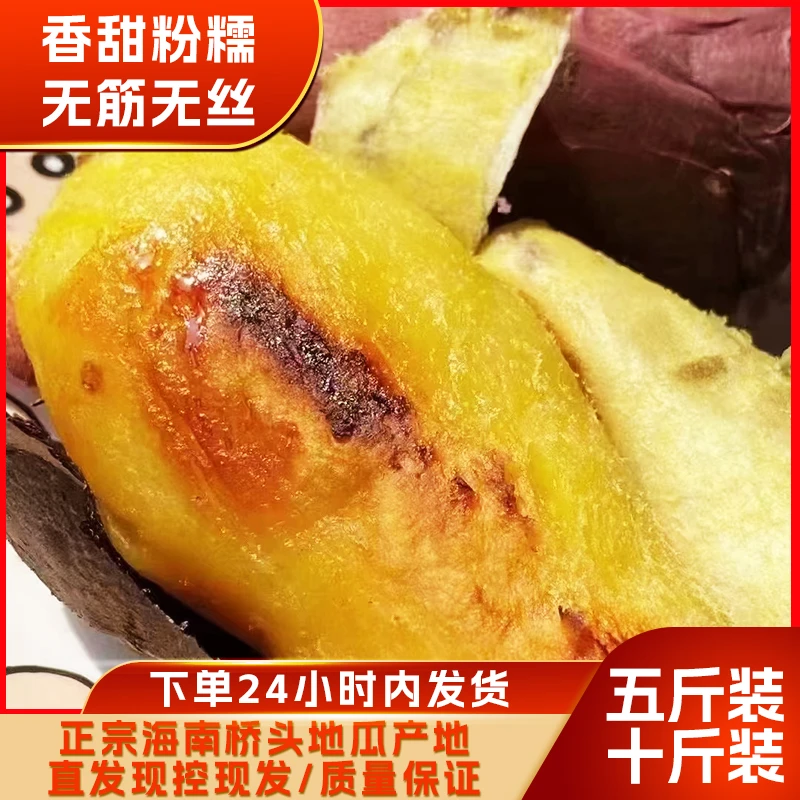 精品果长条形【5两一个】（正宗桥头地瓜）送礼款