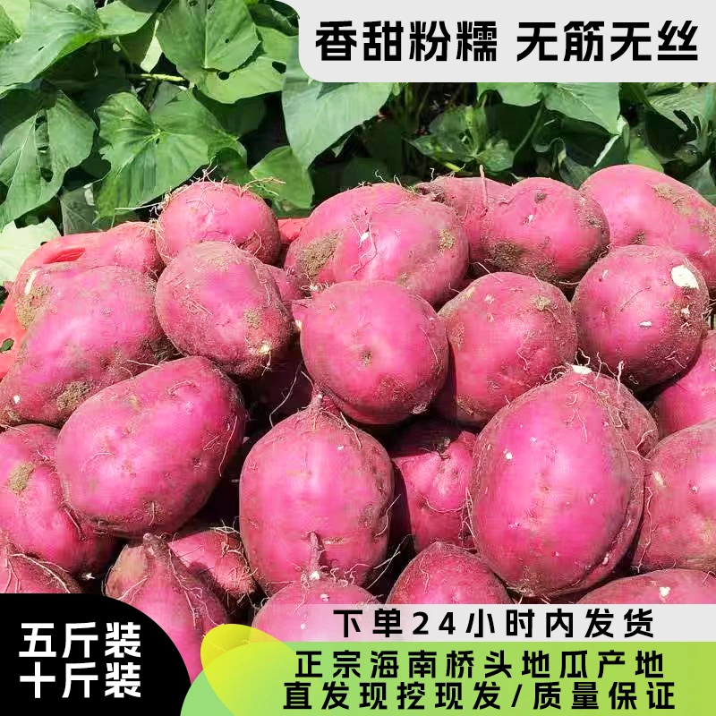 海南桥头地瓜圆果粉爆一款（口感粉粉面面像以手撕面包）甜甜面面