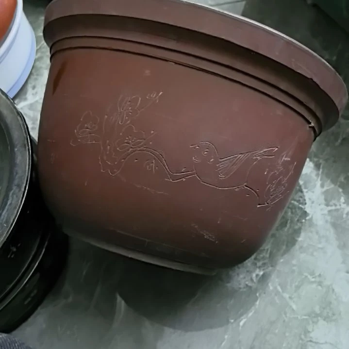 红陶20CM（含）-50CM（不含）l****o